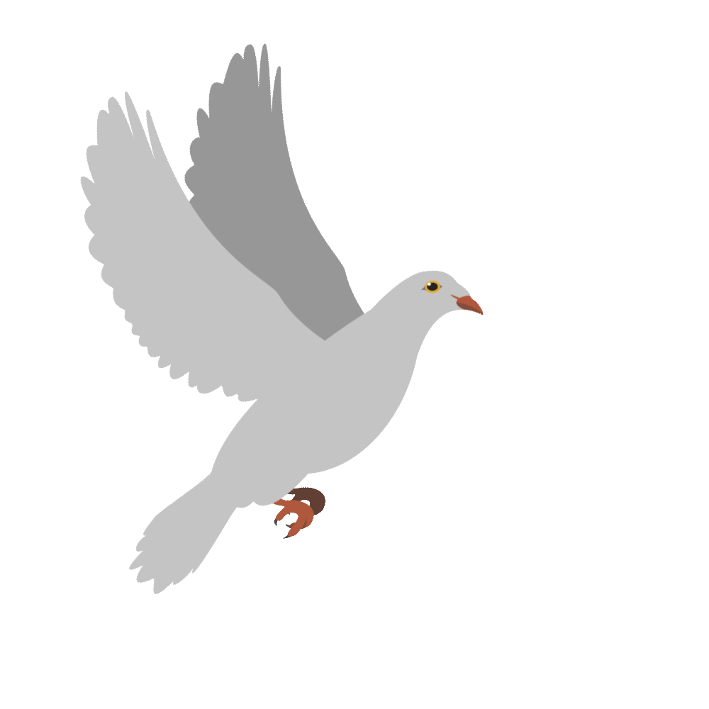 Flying Dove