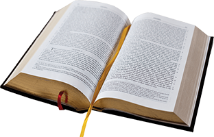 Open Bible